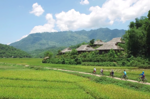 Mai Chau